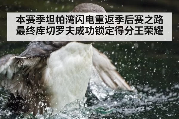 本赛季坦帕湾闪电重返季后赛之路最终库切罗夫成功锁定得分王荣耀